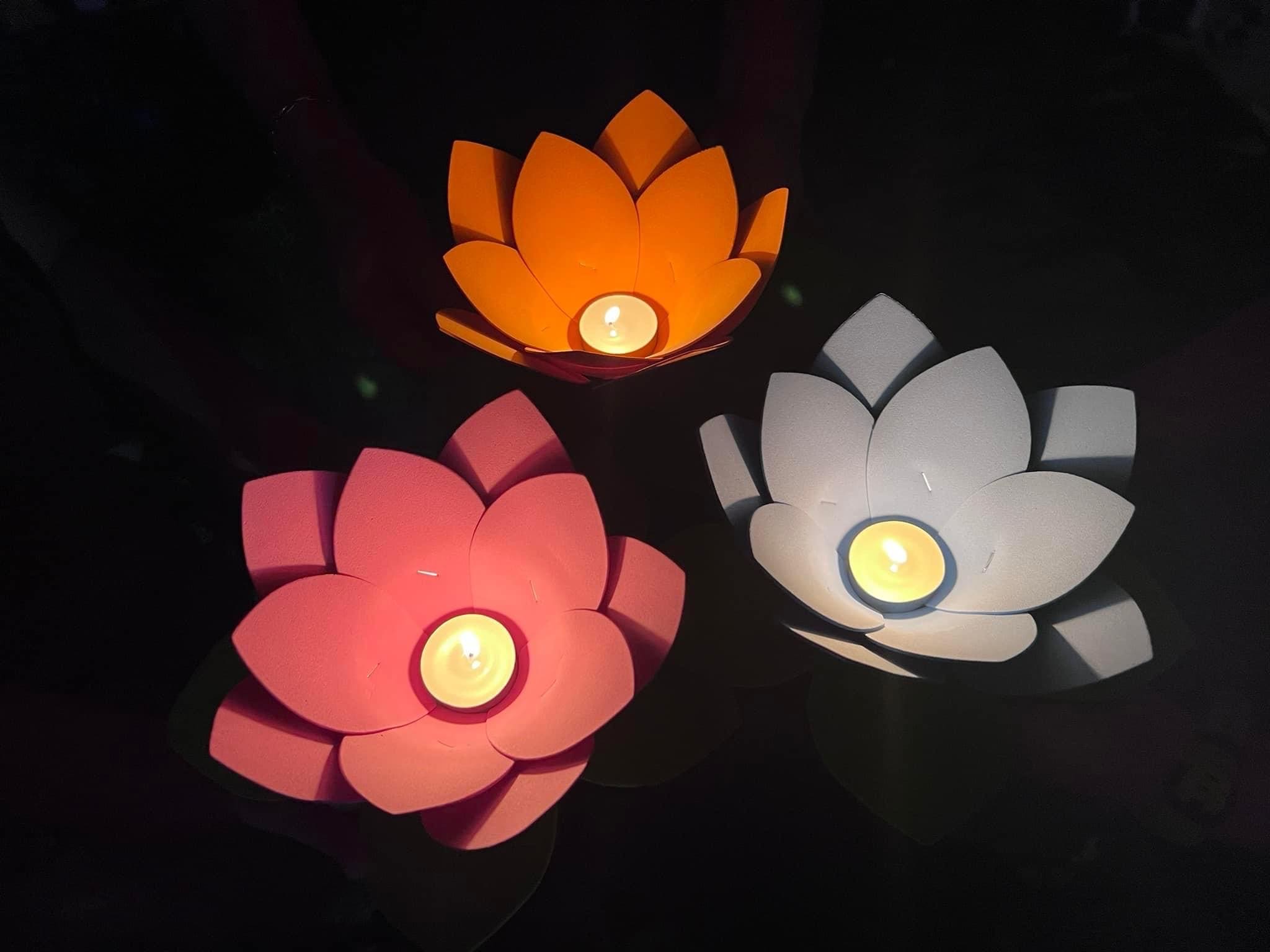 Vietnamese Lantern Festival (Darwin)